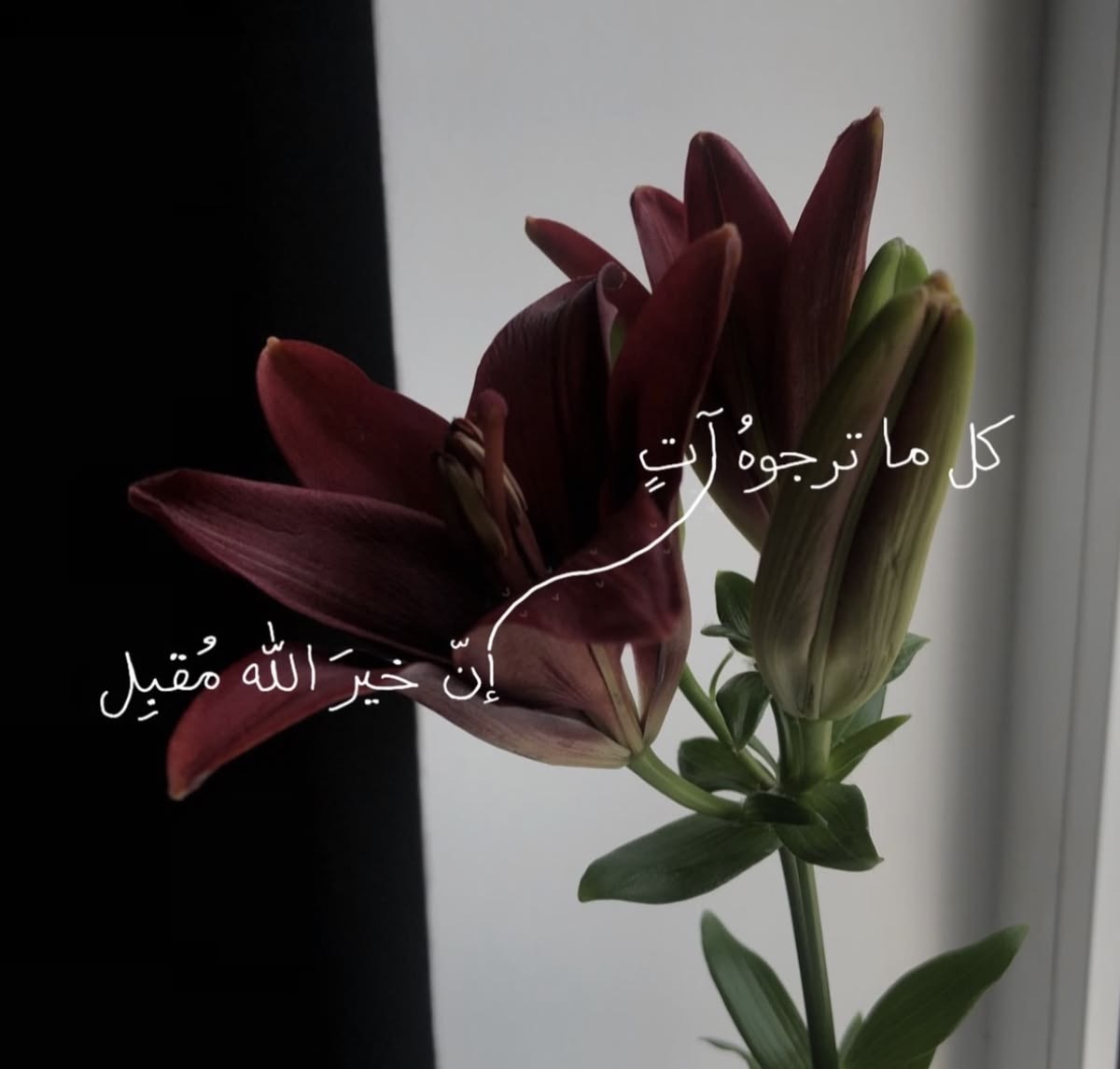 وسائط المنشور