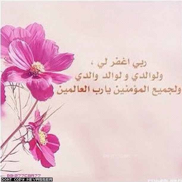 جميله سفياني