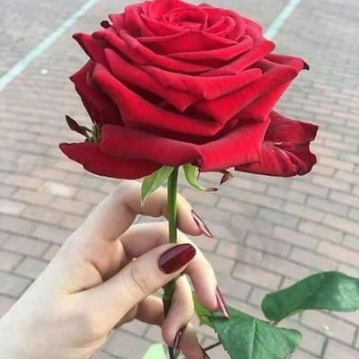 غلاف زهراء حسن العسيري