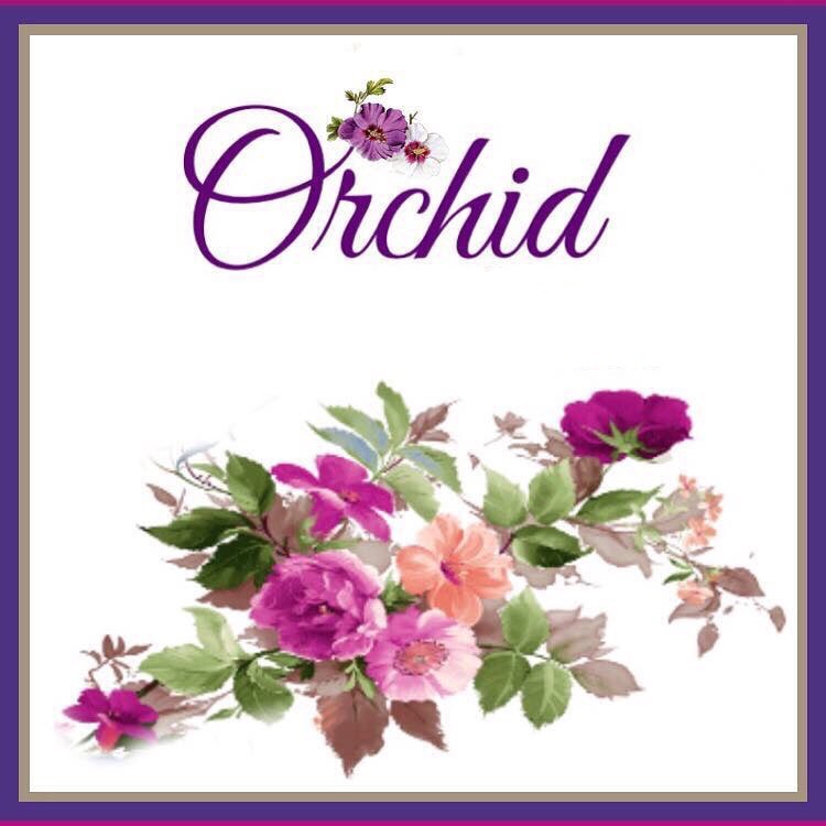 غلاف Orchid.37