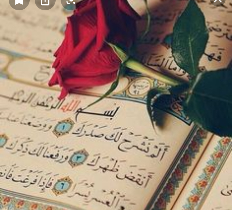 غلاف boshra55