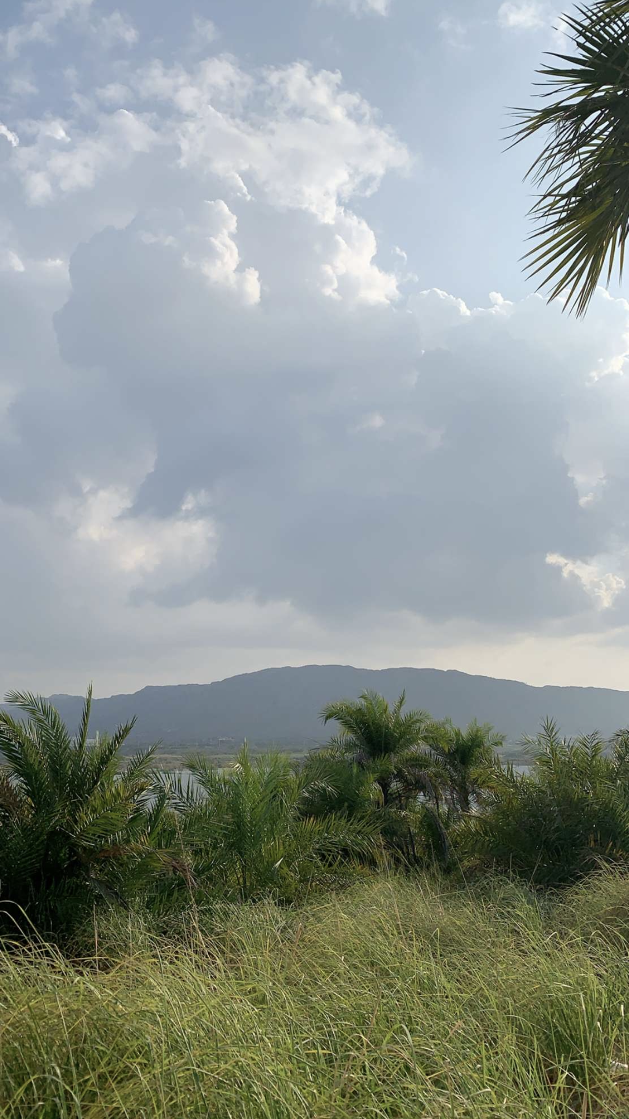 المشرفه هند العبدالله