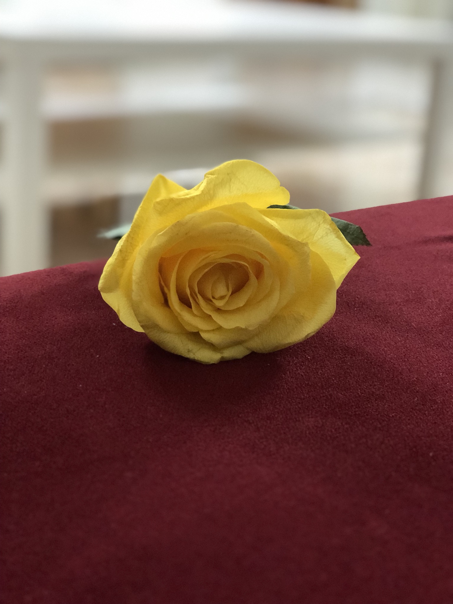 فاطمه علي محمد