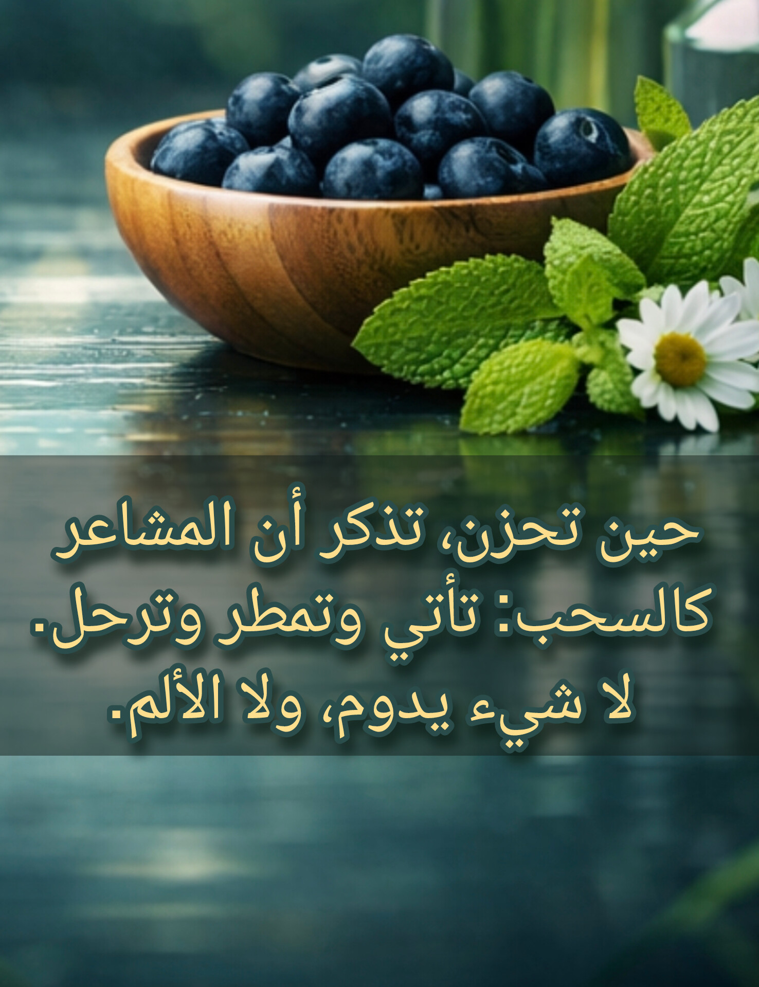 وسائط المنشور