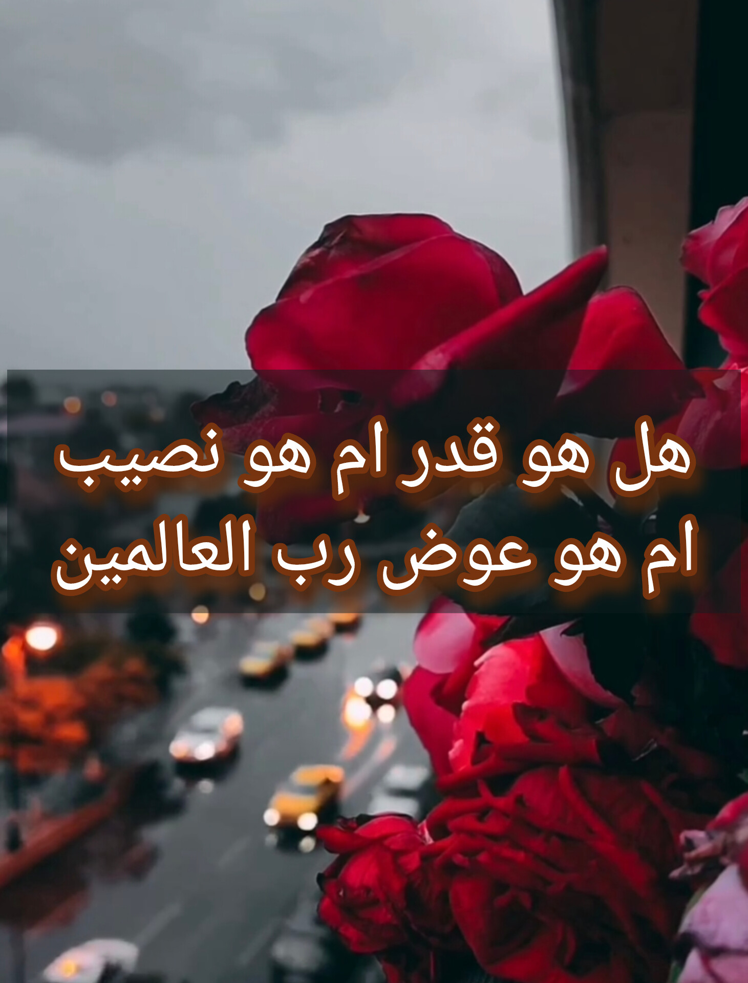 وسائط المنشور