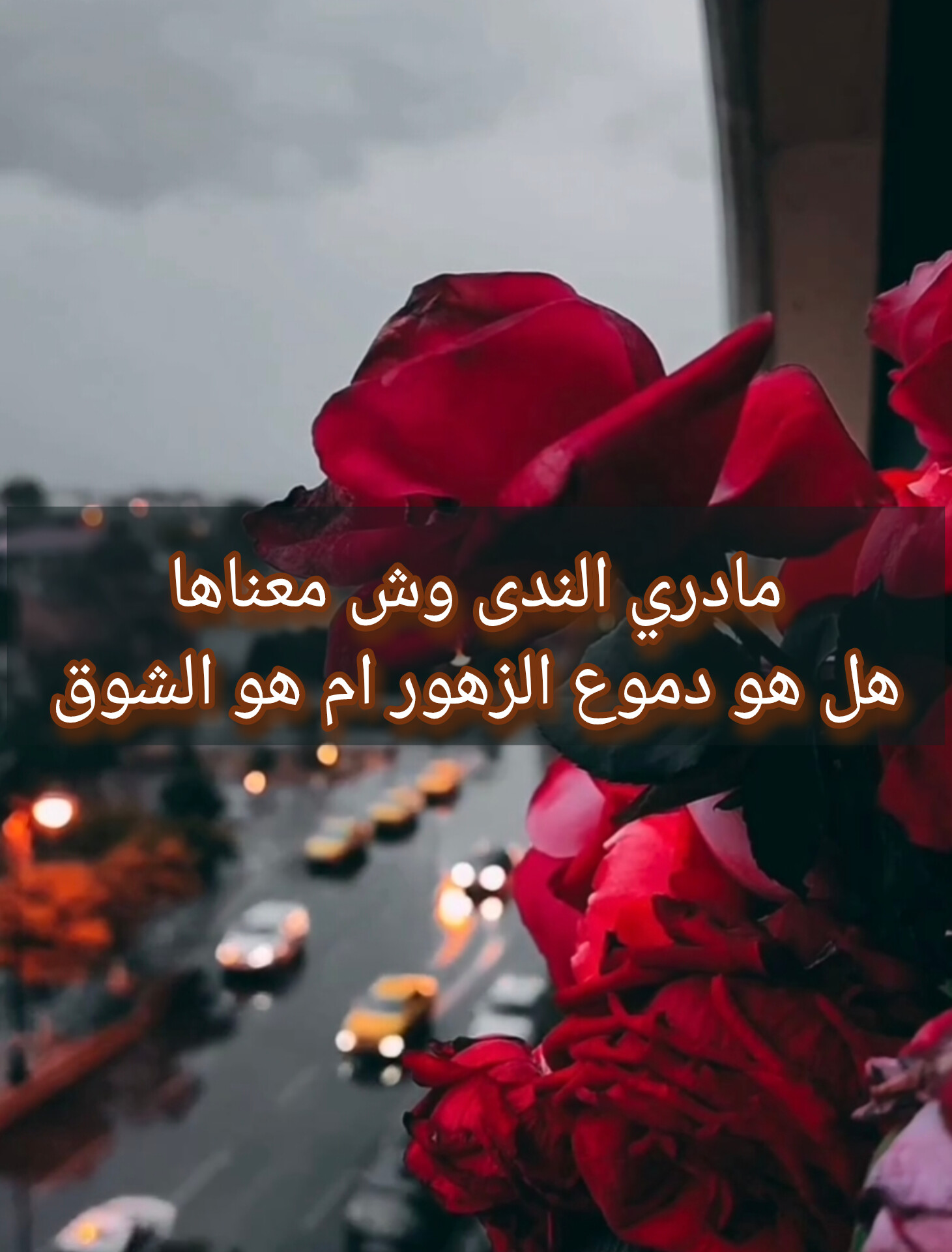 وسائط المنشور