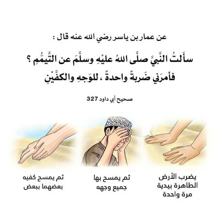 #شرح_الحديث :🍃

كان النَّبيُّ صلَّى اللهُ عليه...