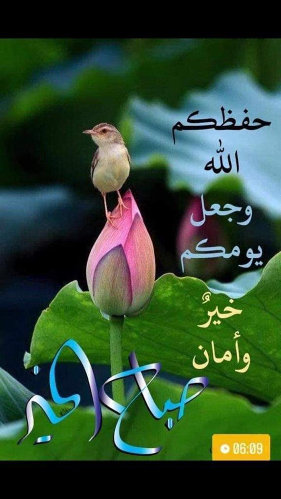 فاطمه دغريري