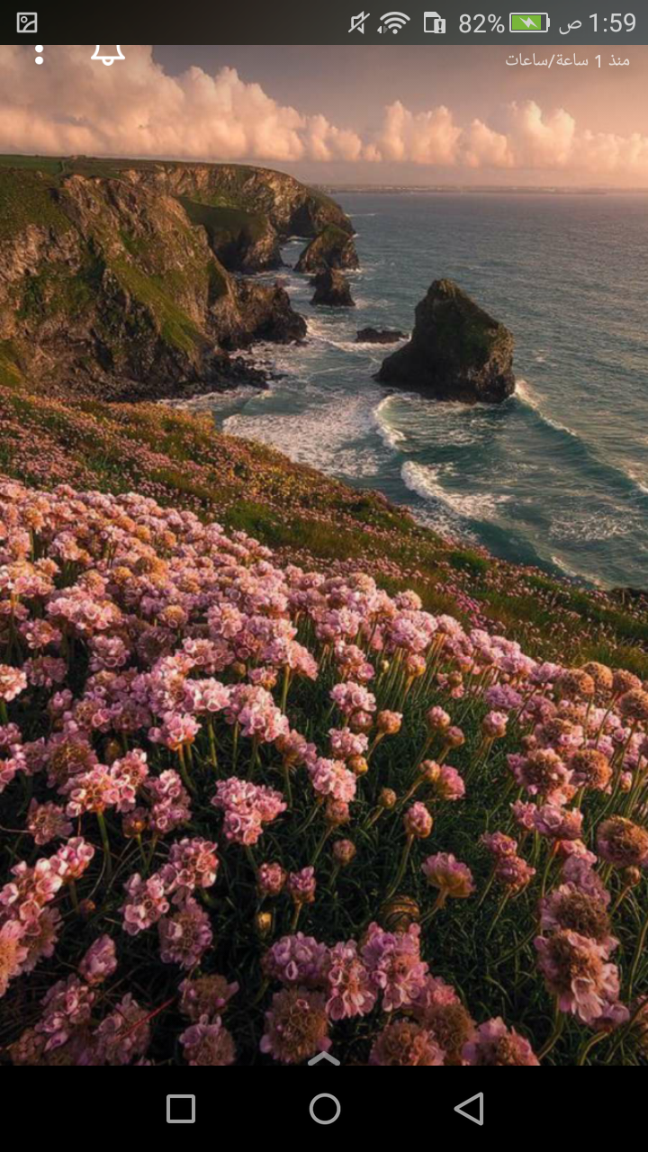 وديعه هزازي