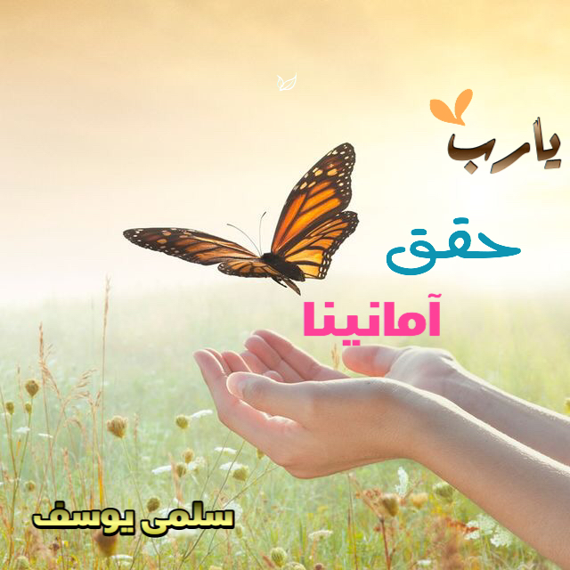 نجلاء راجح عقيلي