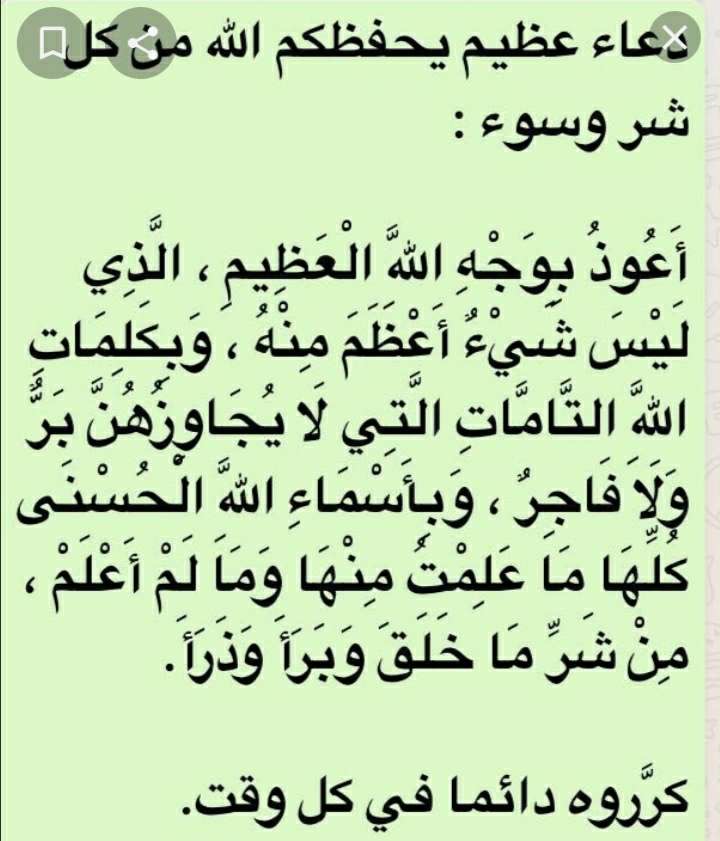 نوره ال رشود