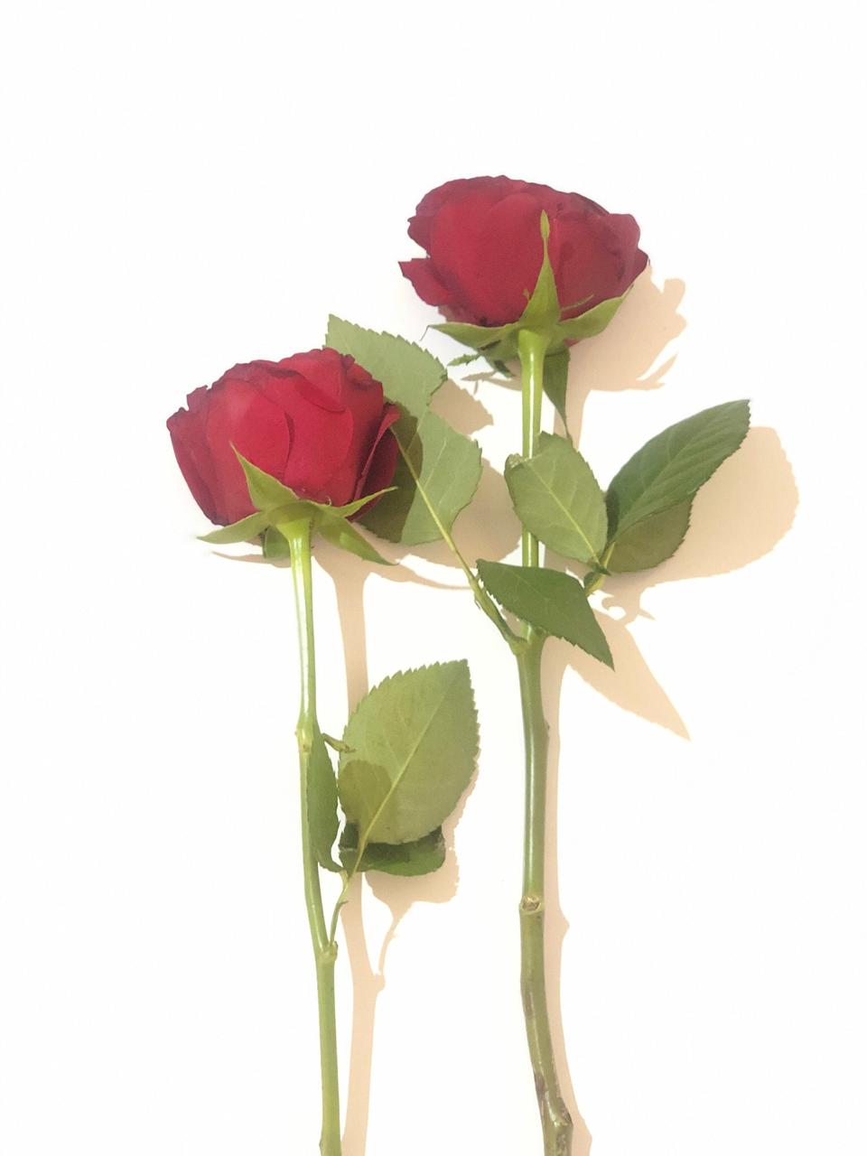 خلووود