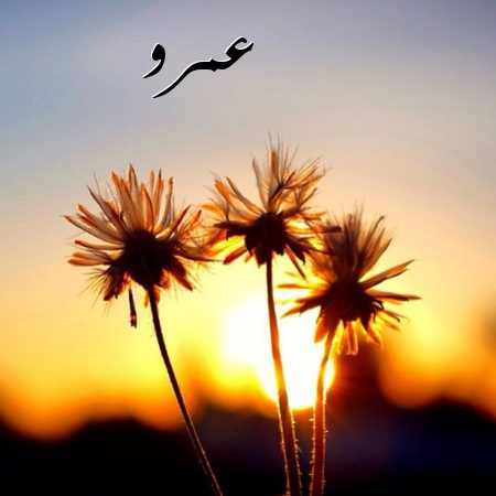 غلاف د عمرو بلغول ابو  اسحاق