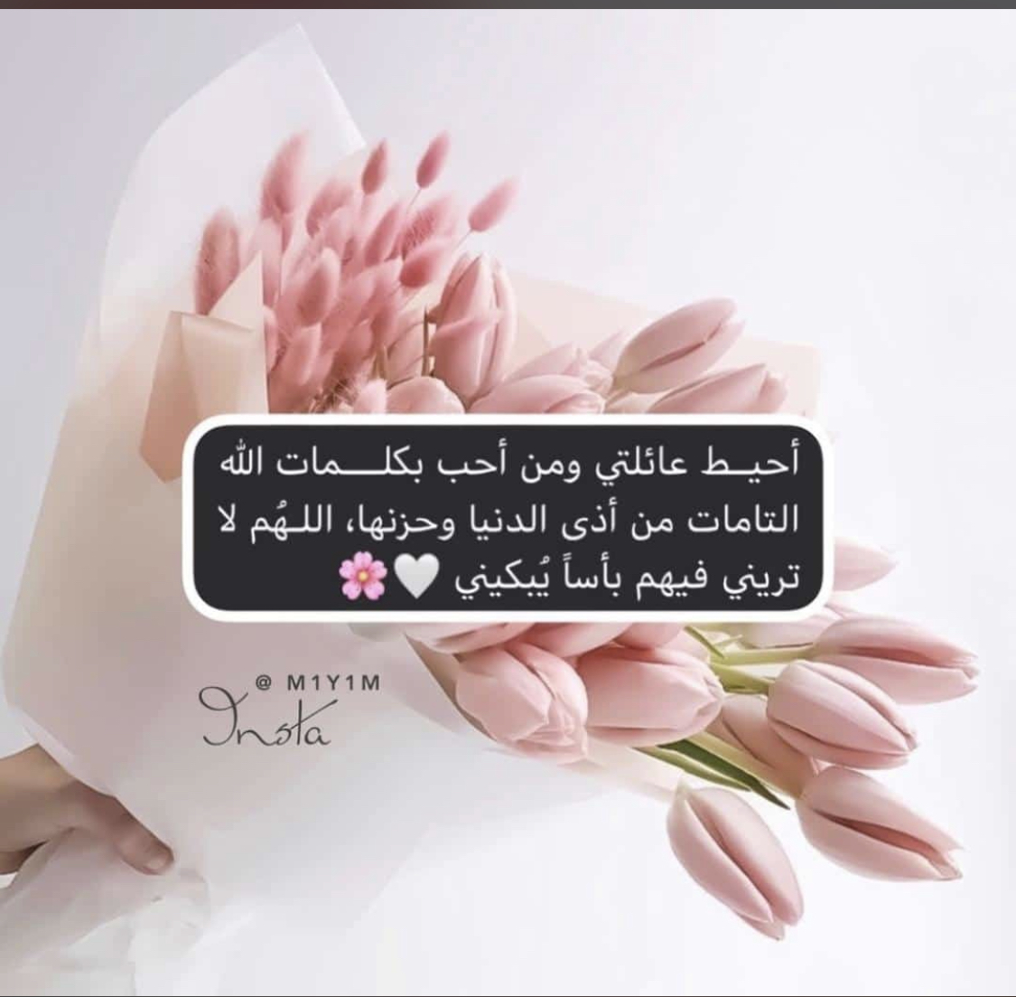 ❤️أماني❤️